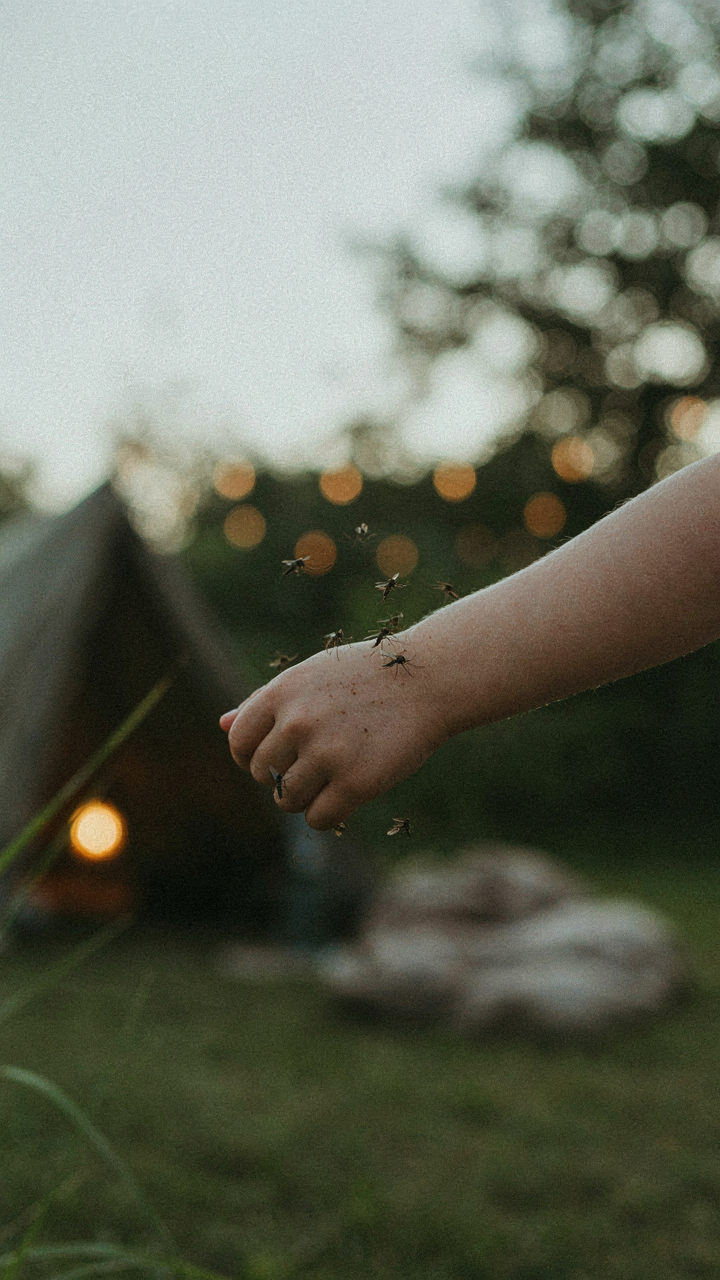 Mosquitoes swarm around a child's arm during a backyard campout.