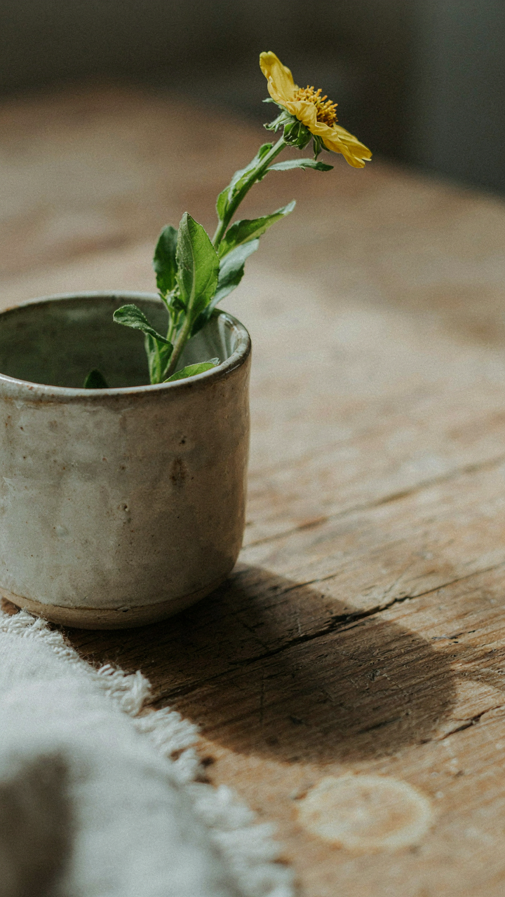 A slightly chipped ceramic mug holds an imperfect wildflower on a wooden surface.