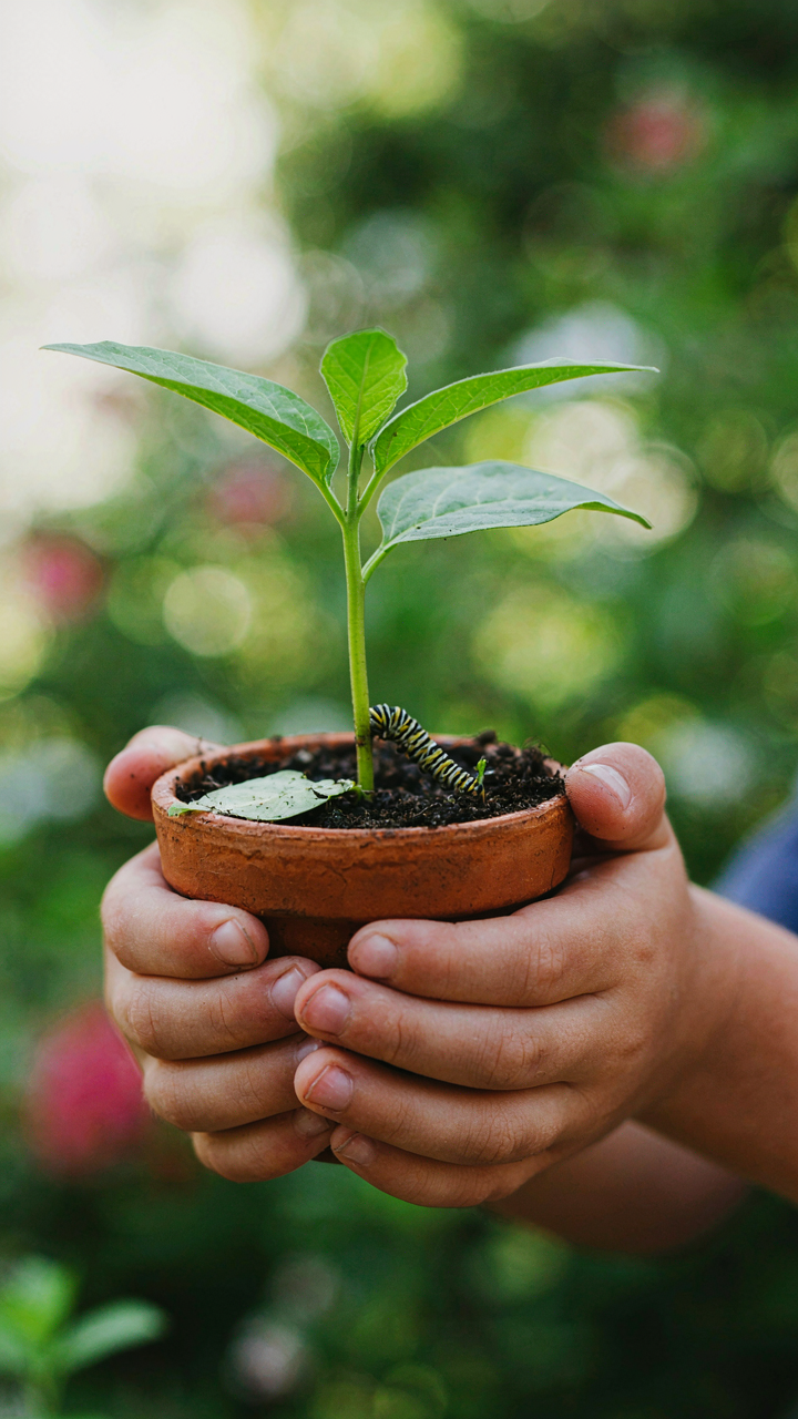 A child's hands hold a potted plant with a monarch caterpillar eating a leaf.