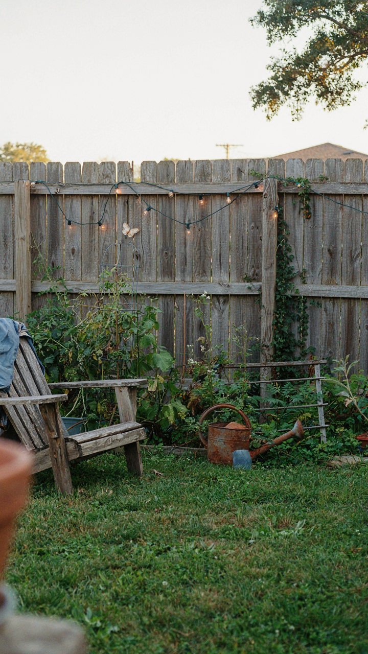 A messy backyard with fairy lights along a fence that looks out of place.