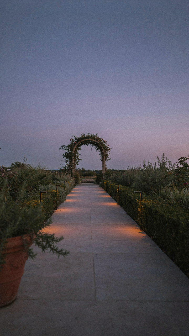 Solar pathway lights line a path, showing the way forward.