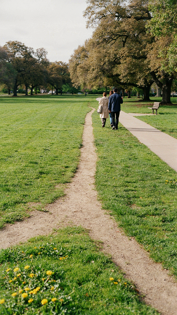 A well-worn dirt path cuts across a green lawn in a park.