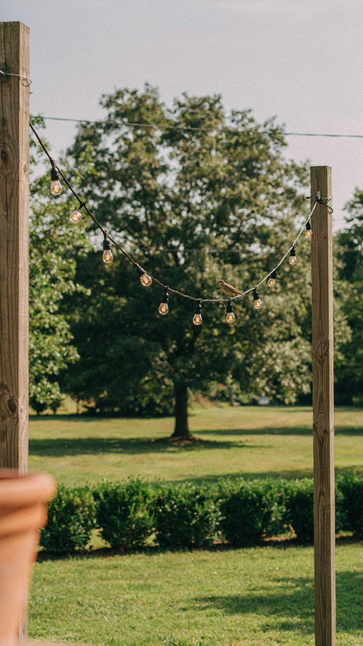 A taut wire supports minimal string lights between two sturdy poles.