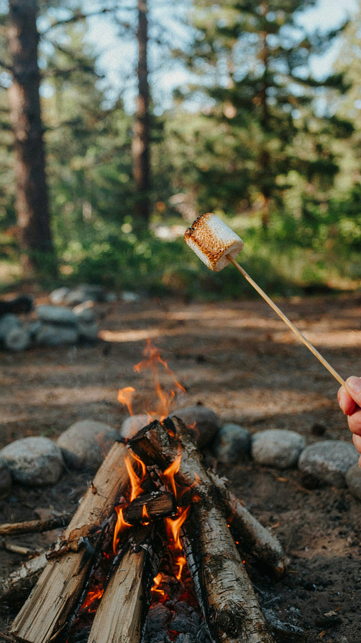 A marshmallow is perfectly toasted over a warm fire.