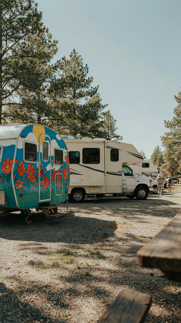 A vibrantly painted vintage camper stands out among plain RVs.