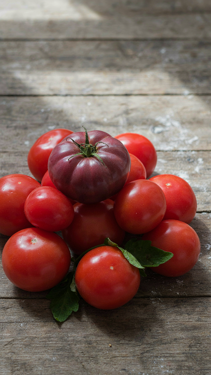 A single purple tomato stands out among many common red tomatoes.