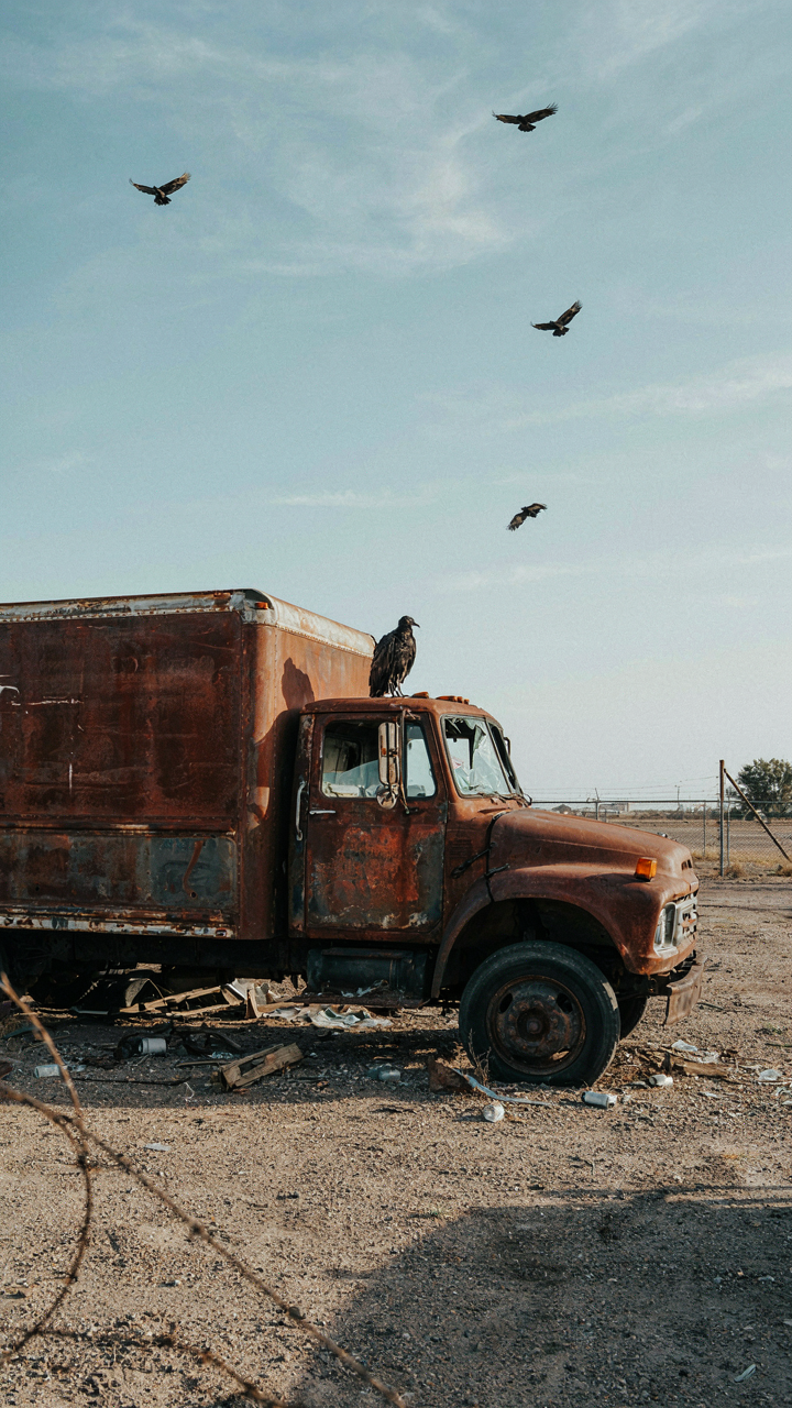 An old, rusty box truck with deflated tires sits abandoned in a junkyard.