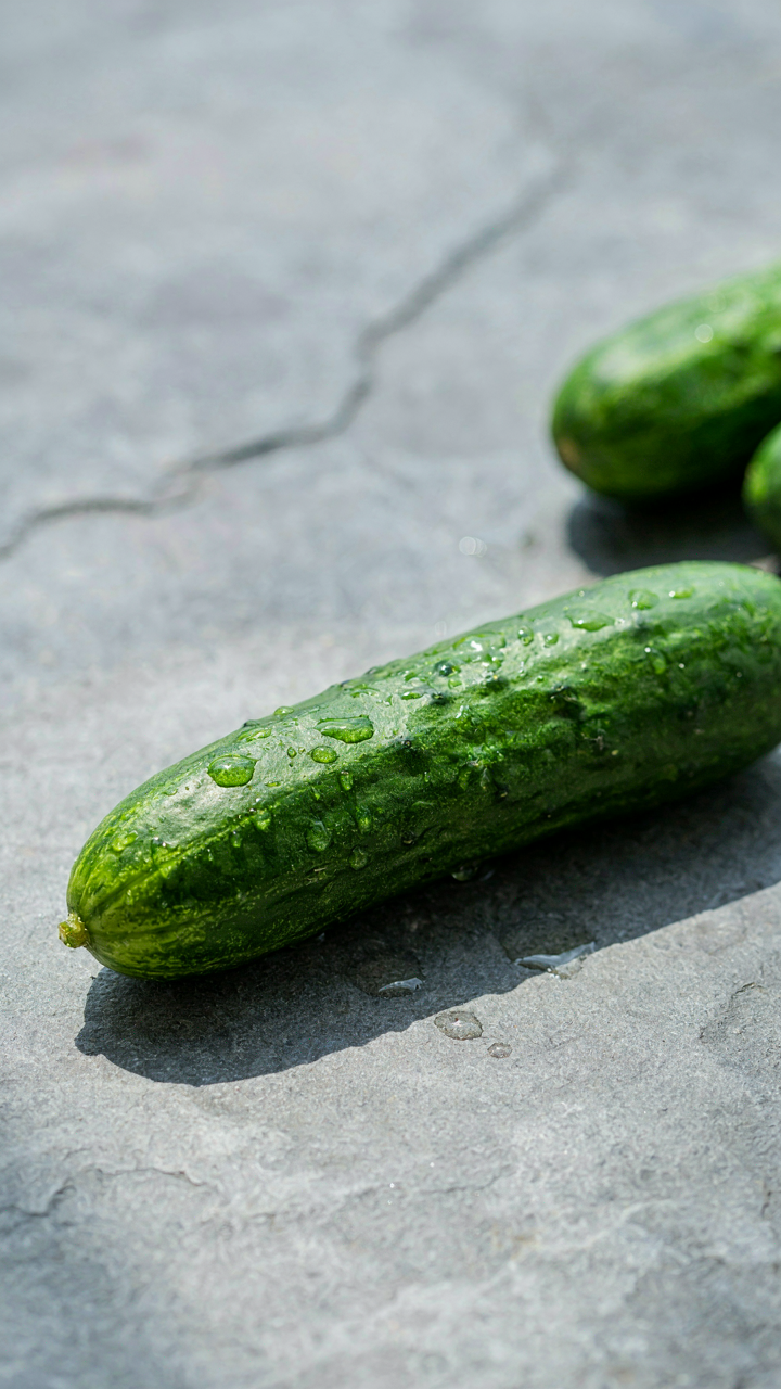 A vibrant green cucumber, glistening with water, sits on a cool stone surface.