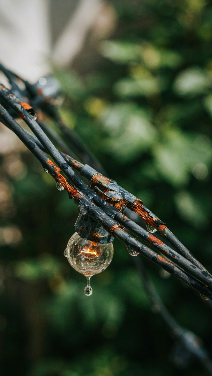 Corroded electrical wires on outdoor string lights show rain damage.