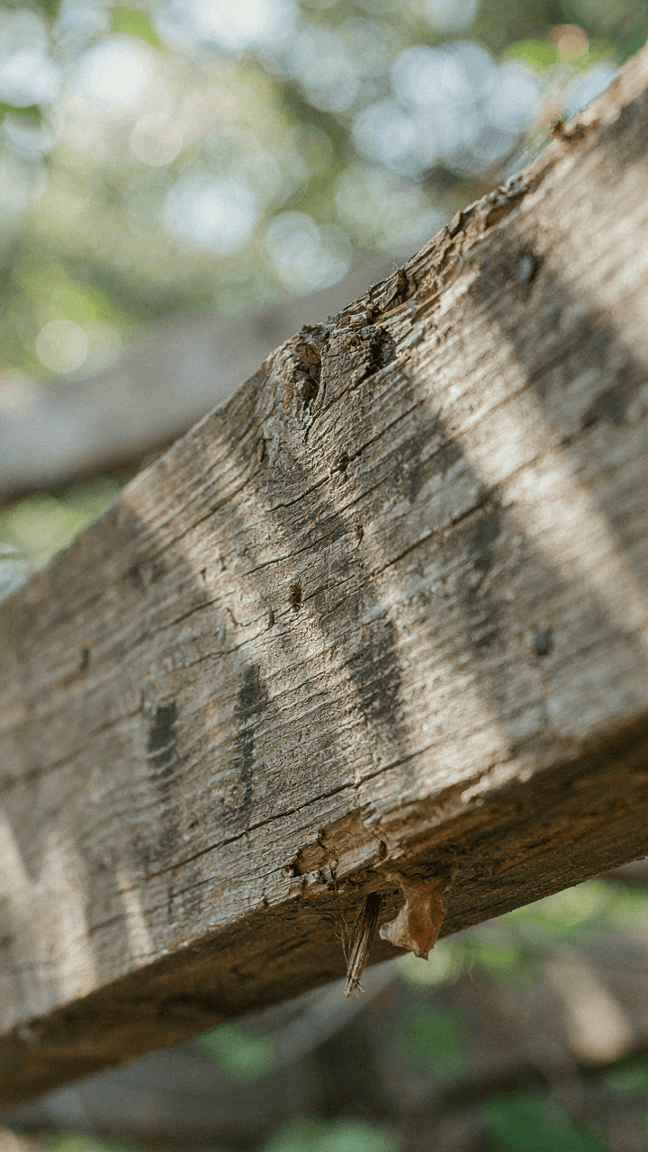 Close-up of weathered wood on a pergola shows damage from sun and water.