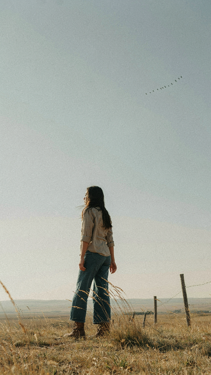 A person stands alone at the edge of a vast, empty land.