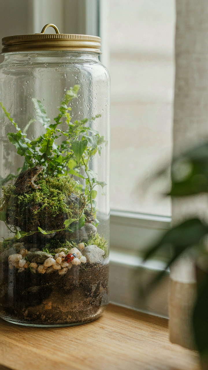 A terrarium showing a balanced ecosystem, symbolizing an RV's needs for rv moisture control.