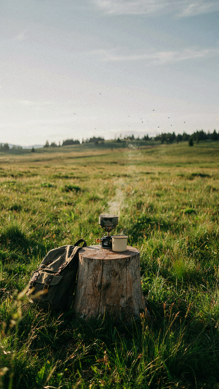 A minimalist camping setup in the wilderness with few items.